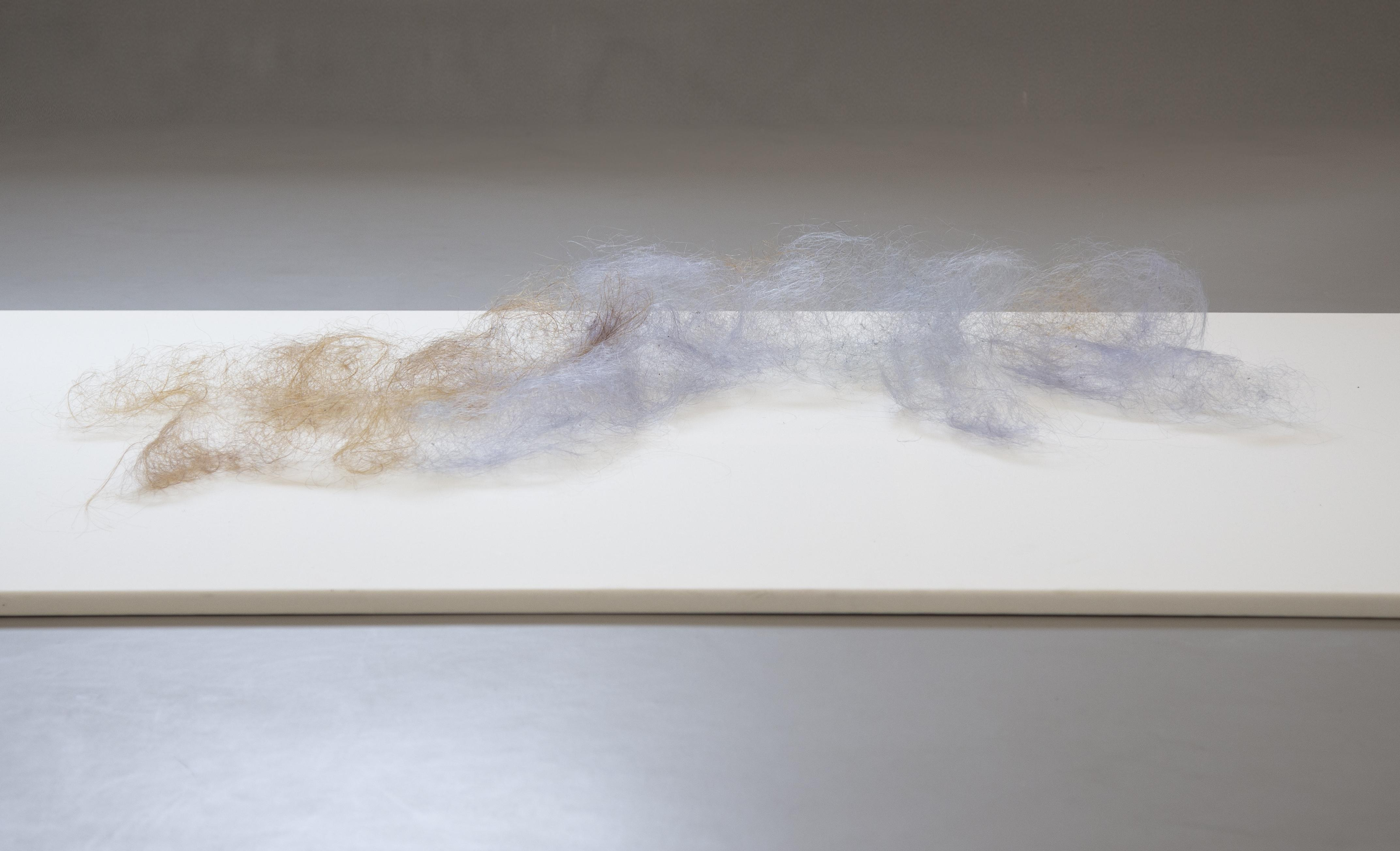 Fanzhi Wei, Entangled Body, etching and hair sculpture